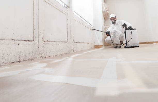24/7 Emergency Commercial Mold Remediation experts in Antioch, IL