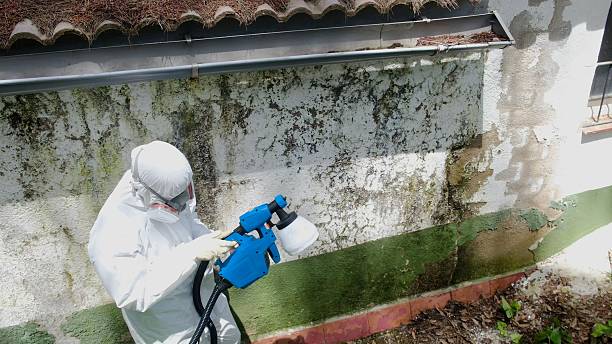 Top rated local Commercial Mold Remediation specialists in Antioch, IL